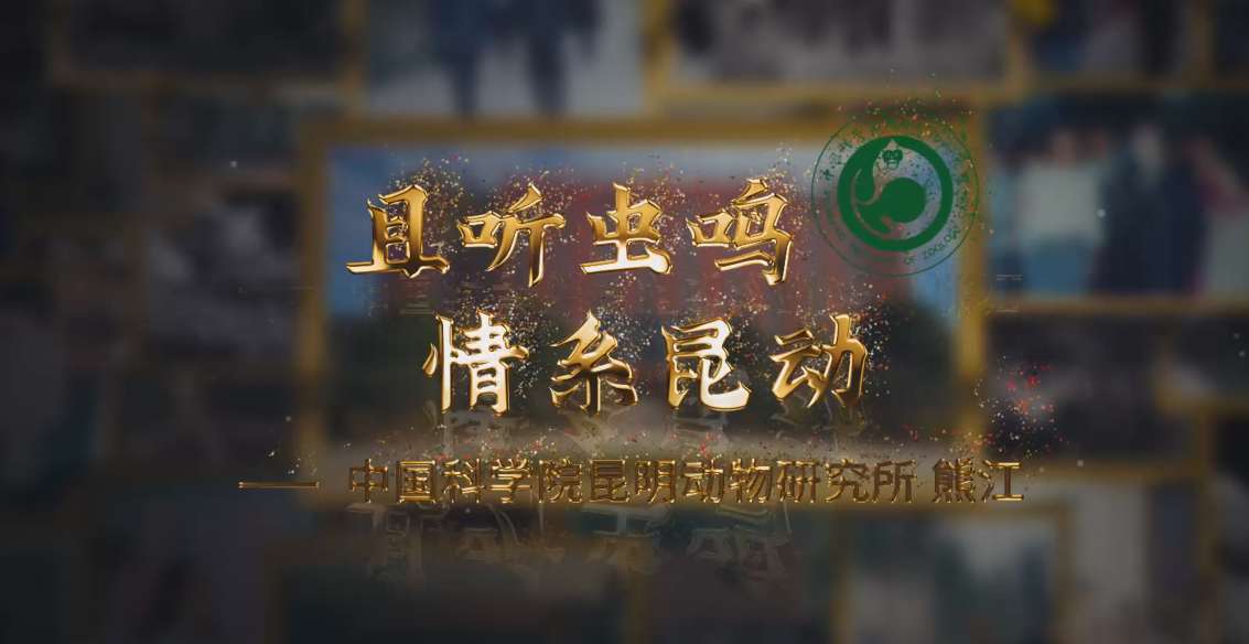 中科院百部档案微视频（9）：《且听虫鸣 情系昆动——熊江》