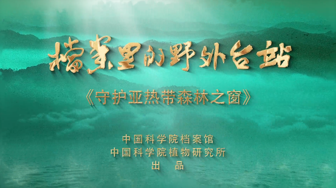 守护亚热带森林之窗