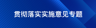 贯彻落实实施意见